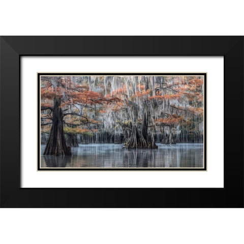 Spanish Moss II Black Modern Wood Framed Art Print with Double Matting by Head, Danny