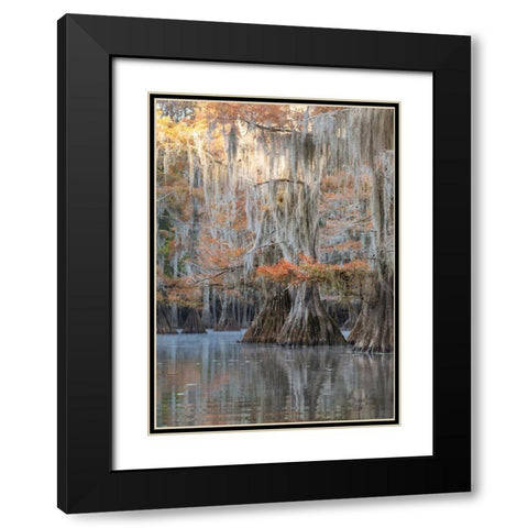 Bayou Blues Black Modern Wood Framed Art Print with Double Matting by Head, Danny