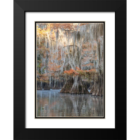 Bayou Blues Black Modern Wood Framed Art Print with Double Matting by Head, Danny