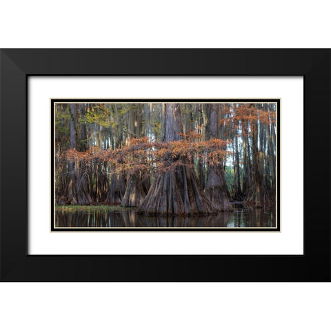 On the Bayou II Black Modern Wood Framed Art Print with Double Matting by Head, Danny