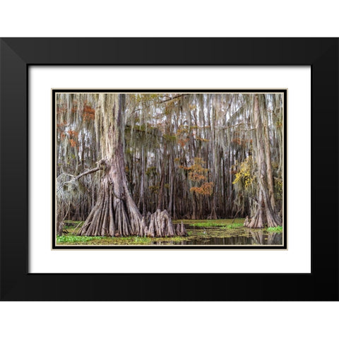 On the Bayou III Black Modern Wood Framed Art Print with Double Matting by Head, Danny