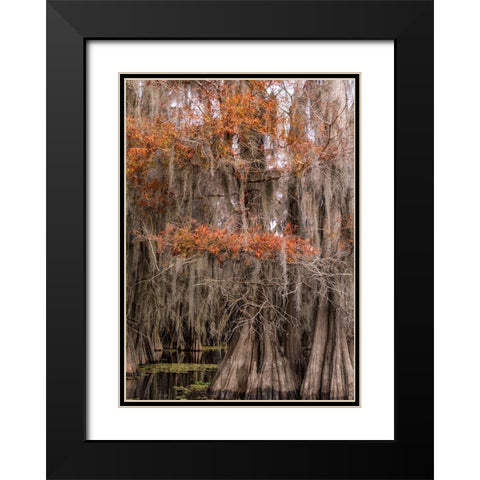 On the Bayou IV Black Modern Wood Framed Art Print with Double Matting by Head, Danny