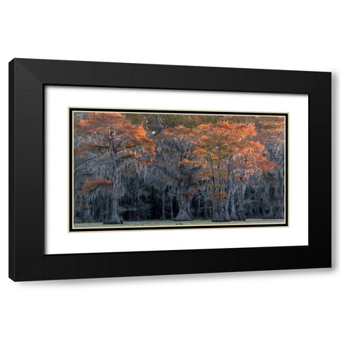 Sun Kissed Black Modern Wood Framed Art Print with Double Matting by Head, Danny