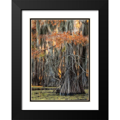On the Bayou V Black Modern Wood Framed Art Print with Double Matting by Head, Danny