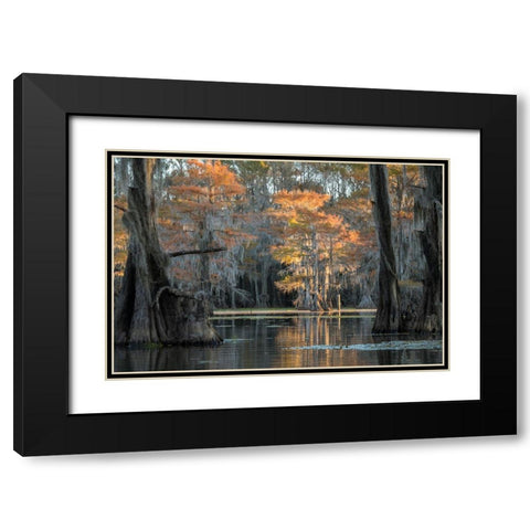Soft Light Black Modern Wood Framed Art Print with Double Matting by Head, Danny