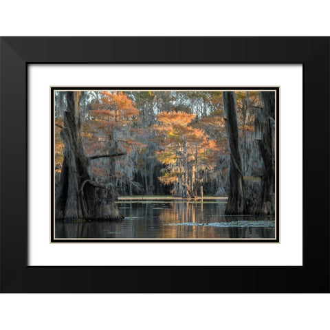 Soft Light Black Modern Wood Framed Art Print with Double Matting by Head, Danny