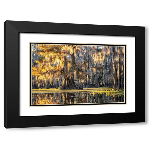 Bayou Dawning Black Modern Wood Framed Art Print with Double Matting by Head, Danny