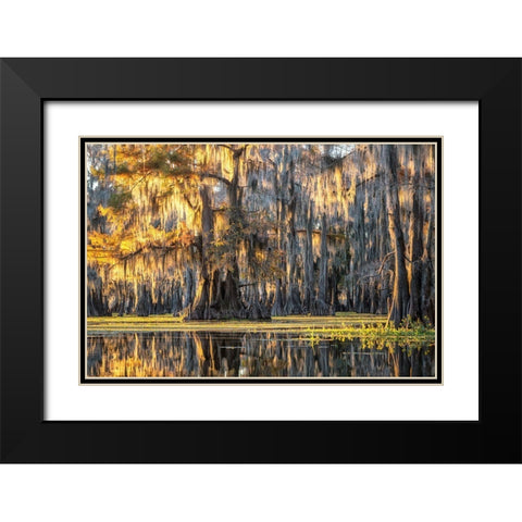 Bayou Dawning Black Modern Wood Framed Art Print with Double Matting by Head, Danny