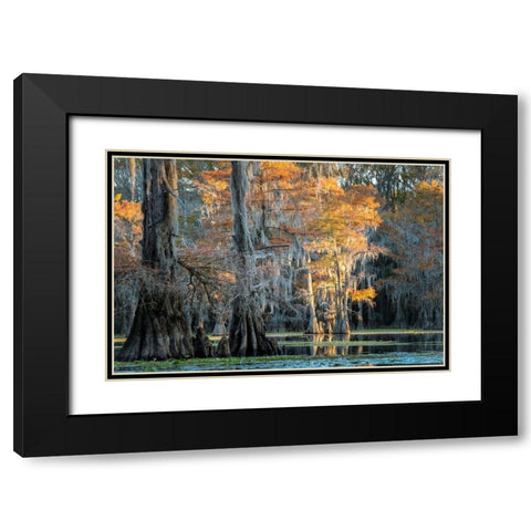 Soft Light II Black Modern Wood Framed Art Print with Double Matting by Head, Danny