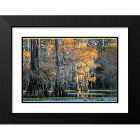 Soft Light II Black Modern Wood Framed Art Print with Double Matting by Head, Danny