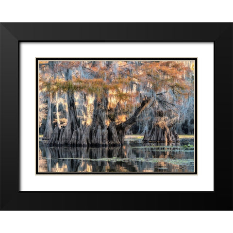 Bayou Morning Black Modern Wood Framed Art Print with Double Matting by Head, Danny