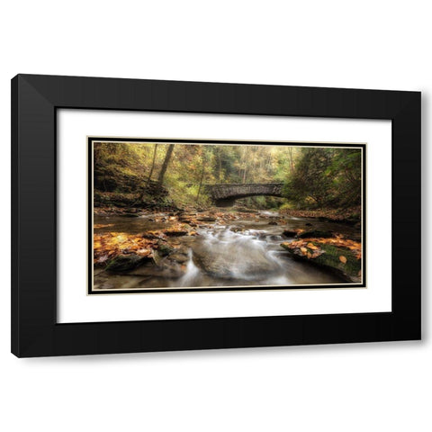 The Arch in Autumn Black Modern Wood Framed Art Print with Double Matting by Head, Danny
