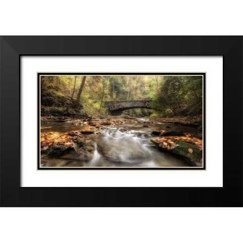The Arch in Autumn Black Modern Wood Framed Art Print with Double Matting by Head, Danny