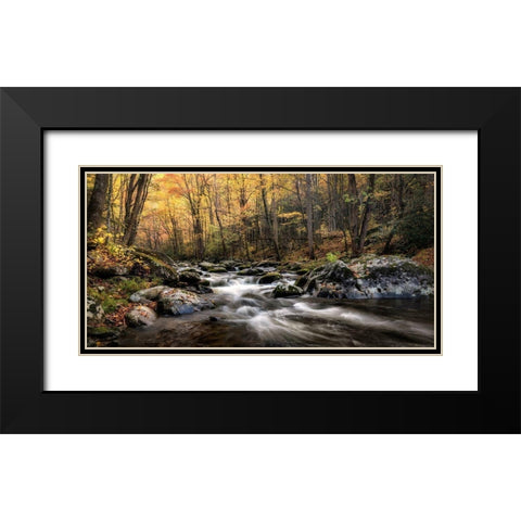 Morning Glow Black Modern Wood Framed Art Print with Double Matting by Head, Danny