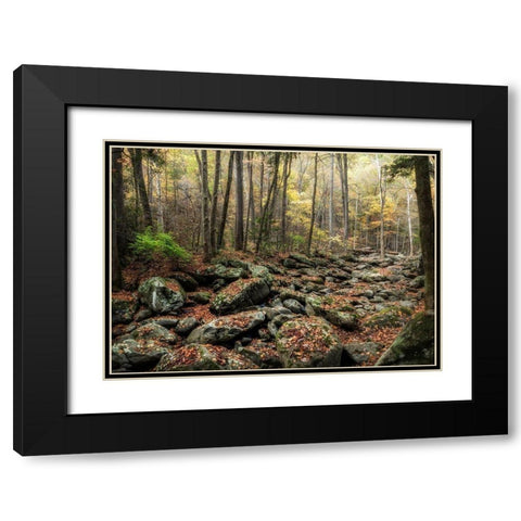 Dry Creek Black Modern Wood Framed Art Print with Double Matting by Head, Danny