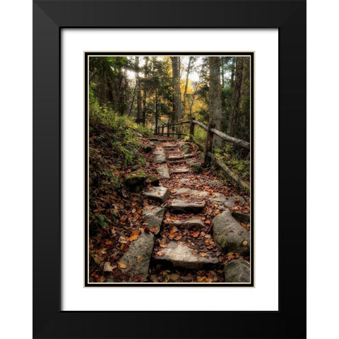 Step It Up Black Modern Wood Framed Art Print with Double Matting by Head, Danny
