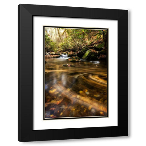 Moving Autumn II Black Modern Wood Framed Art Print with Double Matting by Head, Danny
