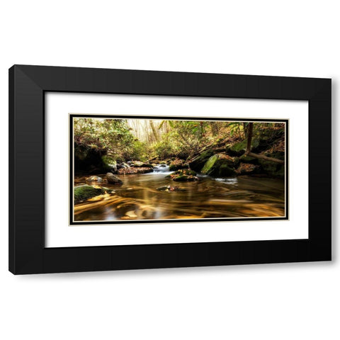 Moving Autumn III Black Modern Wood Framed Art Print with Double Matting by Head, Danny