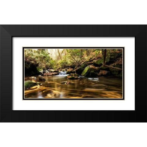 Moving Autumn III Black Modern Wood Framed Art Print with Double Matting by Head, Danny