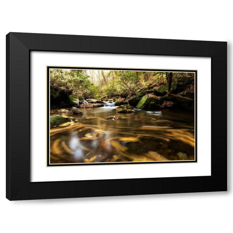Moving Autumn IV Black Modern Wood Framed Art Print with Double Matting by Head, Danny