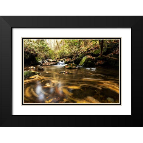 Moving Autumn IV Black Modern Wood Framed Art Print with Double Matting by Head, Danny