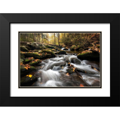 Fallen Leaves III Black Modern Wood Framed Art Print with Double Matting by Head, Danny