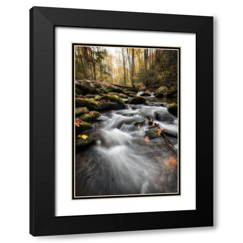 Fallen  Leaves IV Black Modern Wood Framed Art Print with Double Matting by Head, Danny