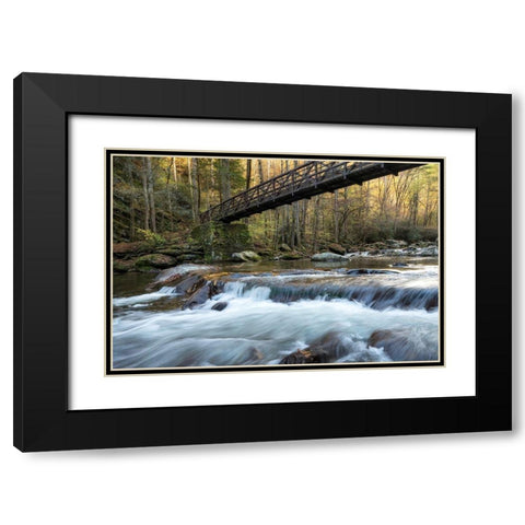 Bridge to Autumn II Black Modern Wood Framed Art Print with Double Matting by Head, Danny