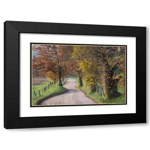 Hyatt Lane III Black Modern Wood Framed Art Print with Double Matting by Head, Danny