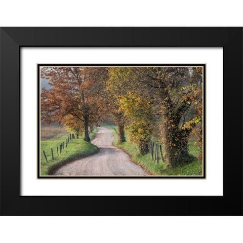 Hyatt Lane III Black Modern Wood Framed Art Print with Double Matting by Head, Danny