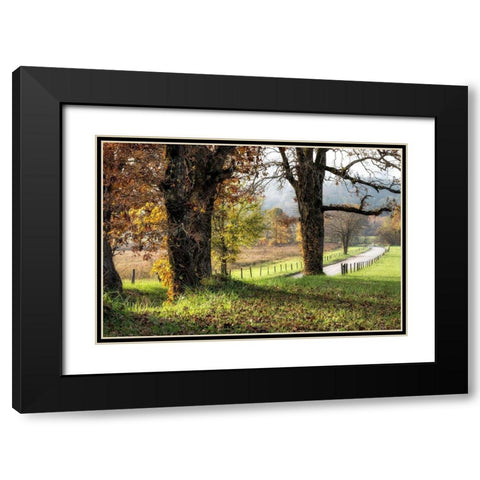 Beside theLane  Black Modern Wood Framed Art Print with Double Matting by Head, Danny