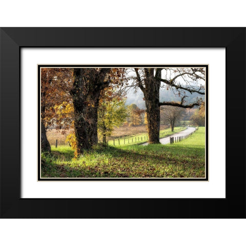 Beside theLane  Black Modern Wood Framed Art Print with Double Matting by Head, Danny