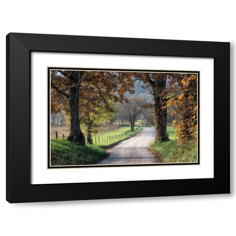 Between the Oaks Black Modern Wood Framed Art Print with Double Matting by Head, Danny