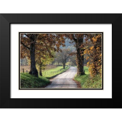 Between the Oaks Black Modern Wood Framed Art Print with Double Matting by Head, Danny
