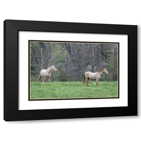 Buddies I Black Modern Wood Framed Art Print with Double Matting by Head, Danny