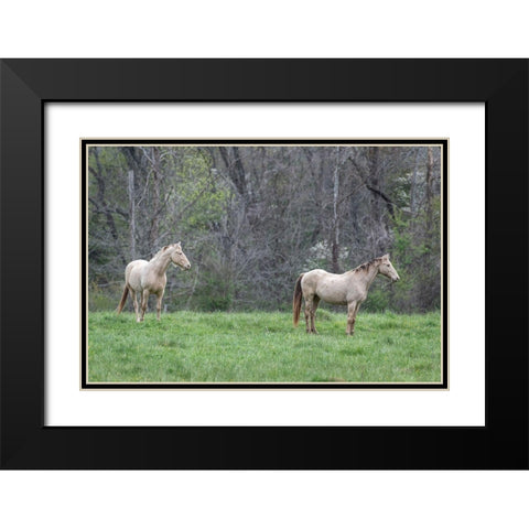 Buddies I Black Modern Wood Framed Art Print with Double Matting by Head, Danny