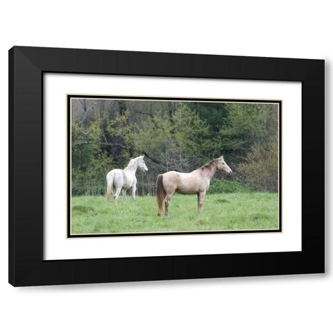 Buddies II Black Modern Wood Framed Art Print with Double Matting by Head, Danny