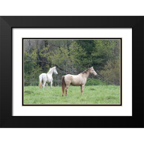 Buddies II Black Modern Wood Framed Art Print with Double Matting by Head, Danny