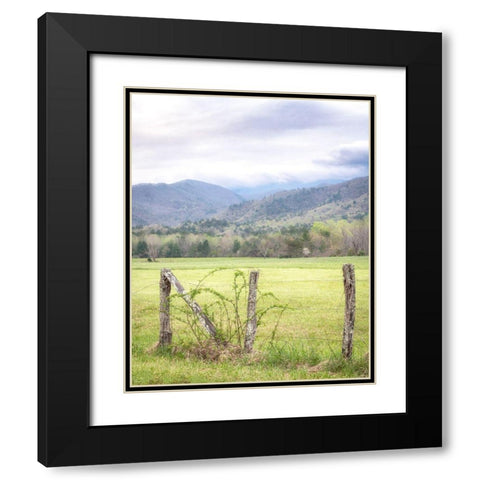Cove Fence Black Modern Wood Framed Art Print with Double Matting by Head, Danny