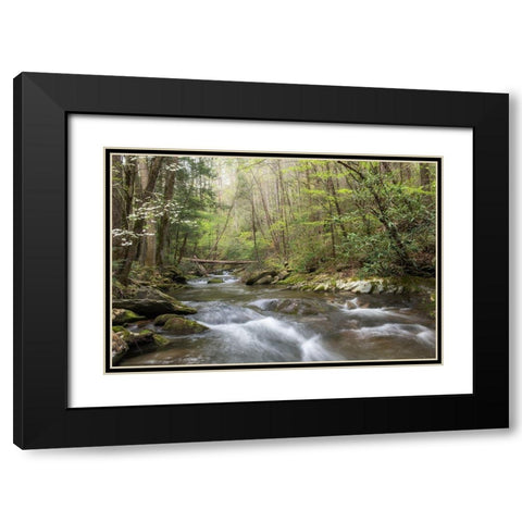 Spring Awakening I Black Modern Wood Framed Art Print with Double Matting by Head, Danny