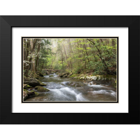 Spring Awakening I Black Modern Wood Framed Art Print with Double Matting by Head, Danny