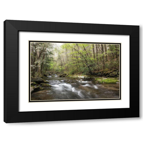 Spring Awakening II Black Modern Wood Framed Art Print with Double Matting by Head, Danny