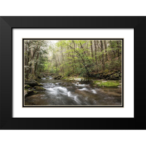Spring Awakening II Black Modern Wood Framed Art Print with Double Matting by Head, Danny