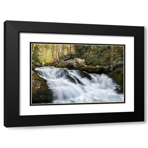 Sudden Drop Black Modern Wood Framed Art Print with Double Matting by Head, Danny