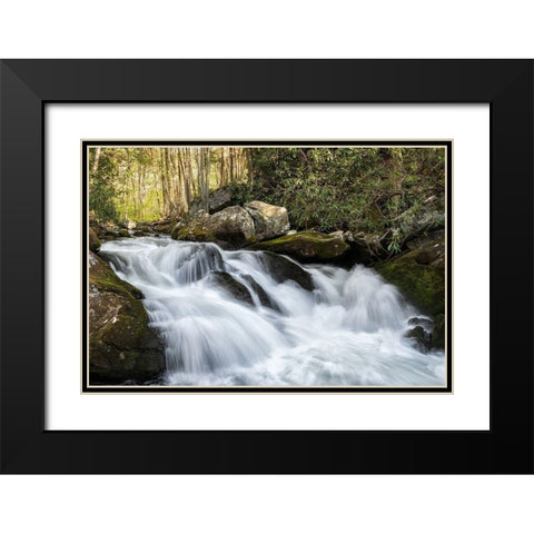 Sudden Drop Black Modern Wood Framed Art Print with Double Matting by Head, Danny