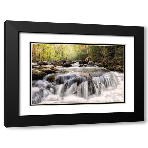 Mushroom Rock Black Modern Wood Framed Art Print with Double Matting by Head, Danny