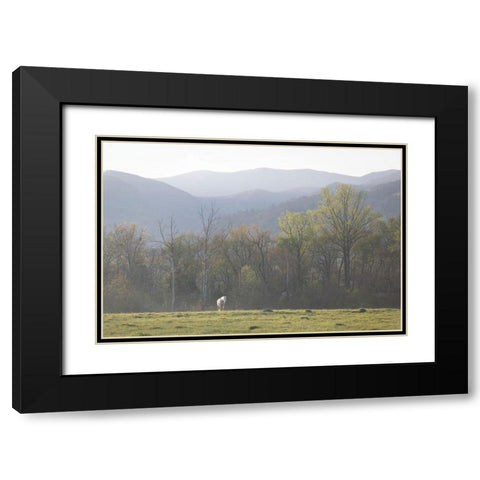 Standing Alone Black Modern Wood Framed Art Print with Double Matting by Head, Danny