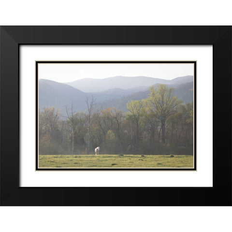 Standing Alone Black Modern Wood Framed Art Print with Double Matting by Head, Danny