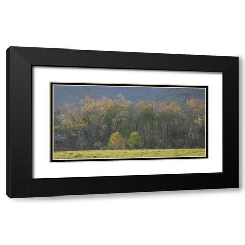 Tree Line Black Modern Wood Framed Art Print with Double Matting by Head, Danny