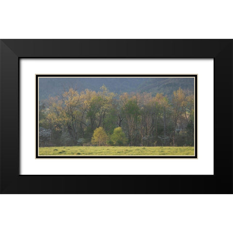 Tree Line Black Modern Wood Framed Art Print with Double Matting by Head, Danny